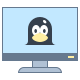 Linux Server